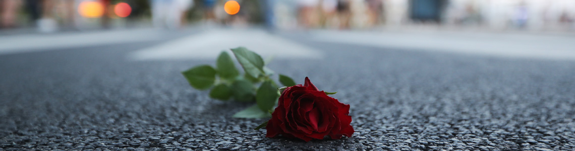 fiore sulla strada